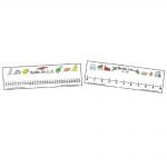 Student Number Line Double-Sided pk15 - Image 2