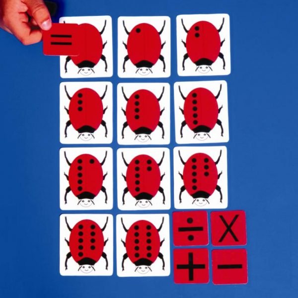 Magnetic Counting Ladybirds