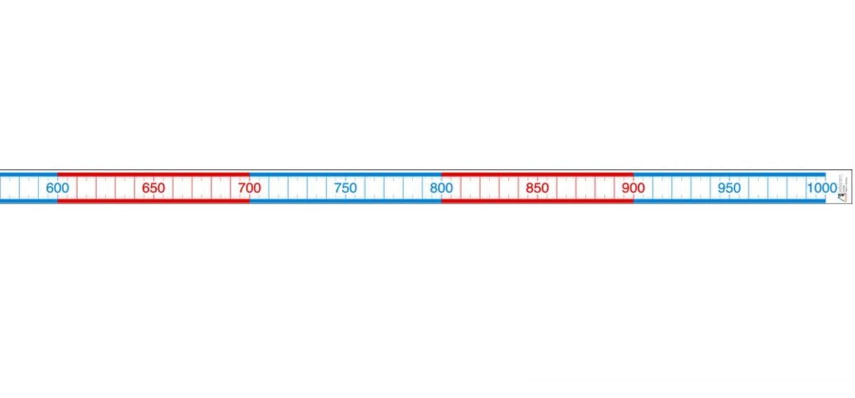 Number Line 0-1000 length 5 meter by Knowledge Research | why.gr
