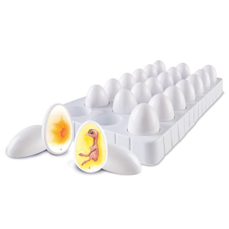 Egg Incubator for 7 eggs | Knowledge Research | why.gr