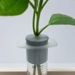 Potometer Apparatus - Image 3