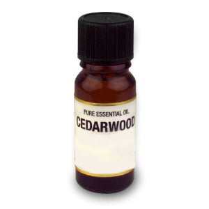 Cedar Oil 25ml
