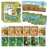 Life Cycles - why.gr