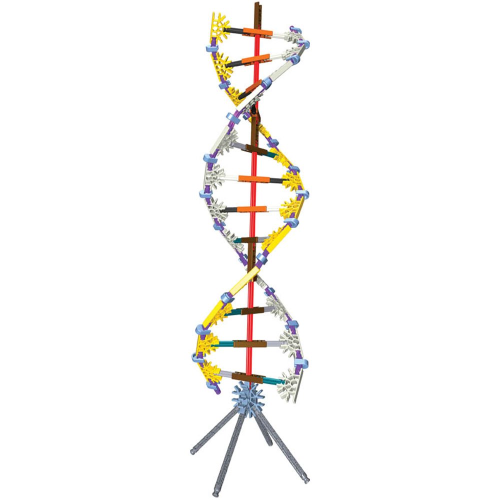 K’NEX Education DNA Replication and Transcription - Διερευνητική Μάθηση