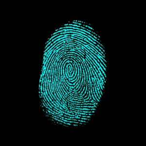 Fingerprints-182668331