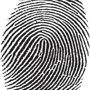 fingerprint-testimony