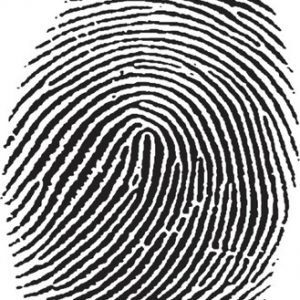 fingerprint-testimony Αποτυπώματα - Χημική ταυτοποίηση δακτυλικών αποτυπωμάτων