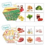 Where Does Food Come From? - Image 3