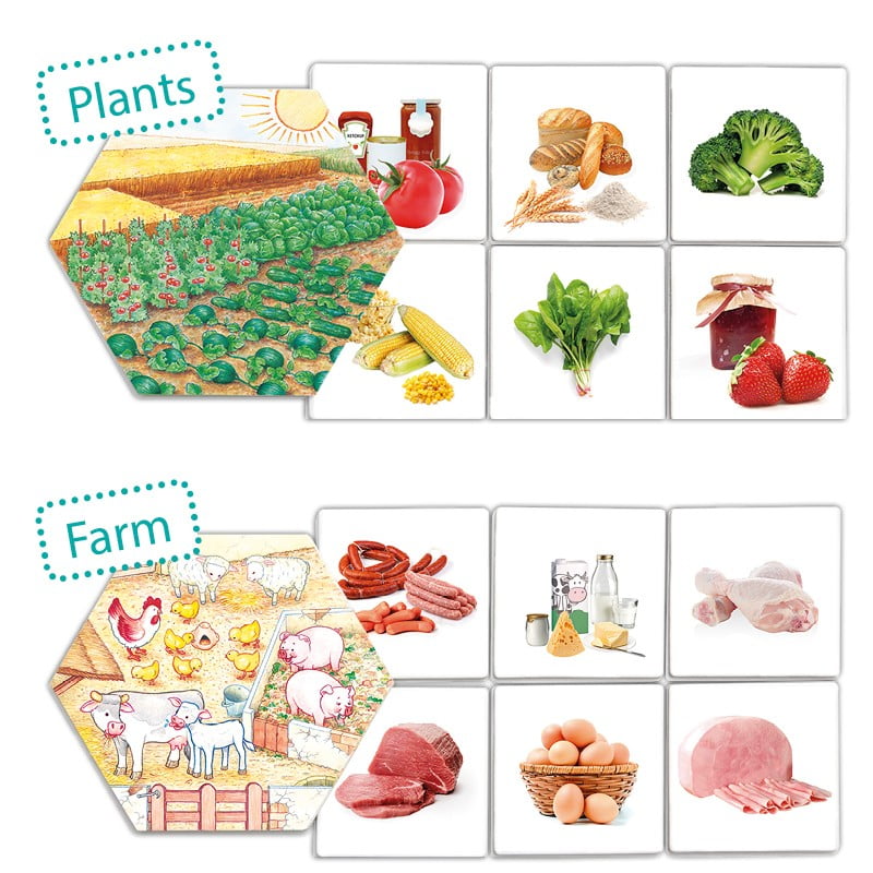 Where Does Food Come From? from Knowledge Reasearch | why.gr