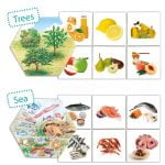 Where Does Food Come From? - Image 2