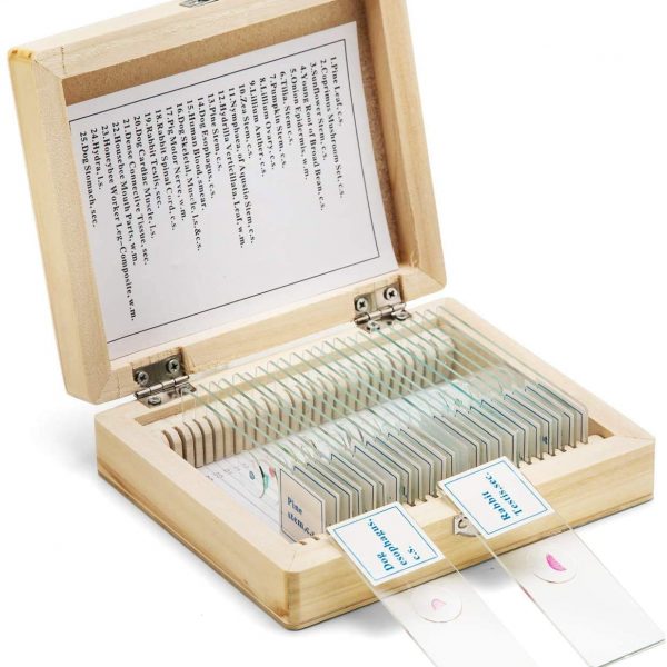 Συλλογή 100 παρασκευασμάτων μικροσκοπίου Βιολογικοί Ιστοί