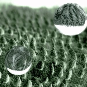 maxresdefault NanoSchoolBox 2.0 - nanotechnology kit - nanoscience - why.gr