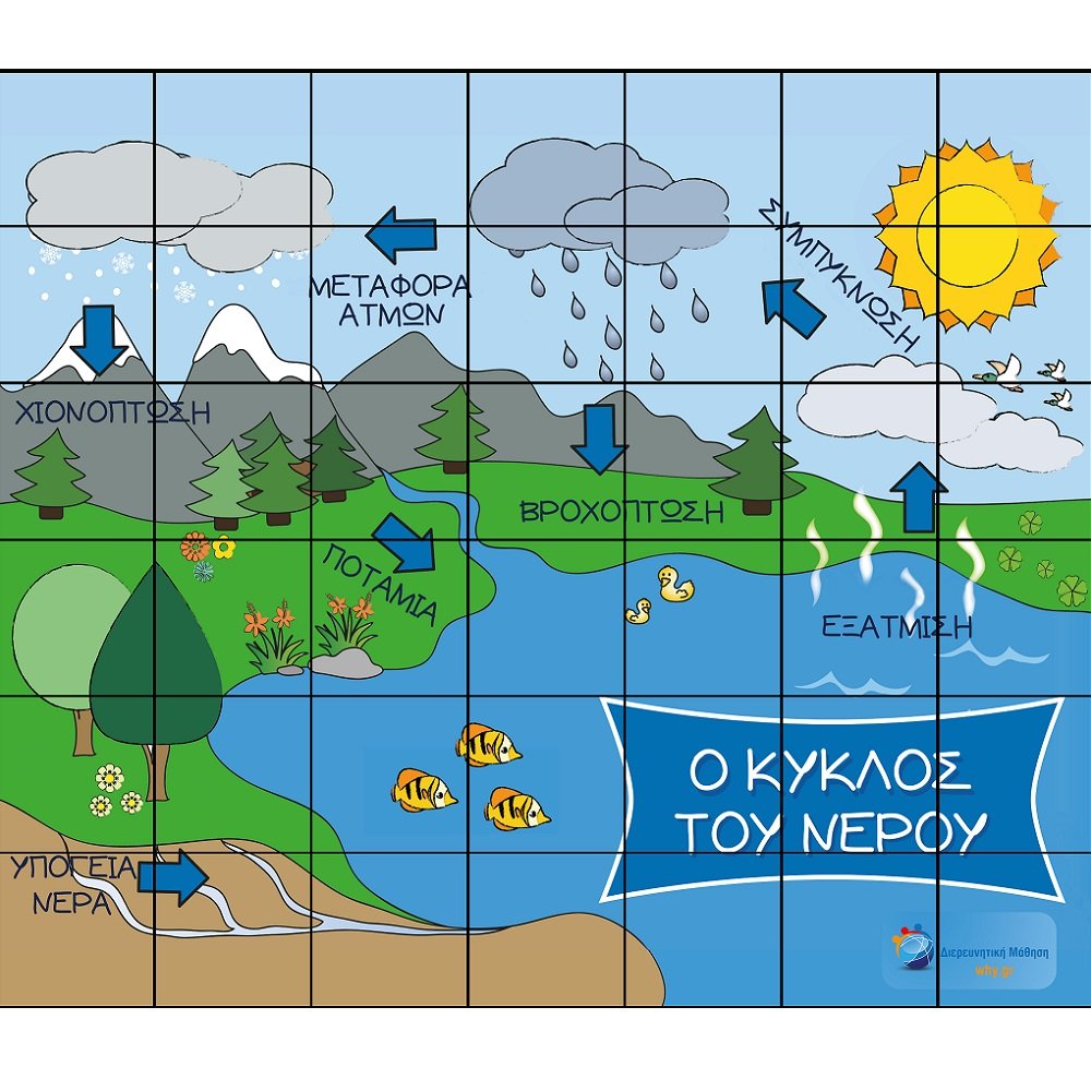 BeeBot - Ο Κύκλος του Νερού