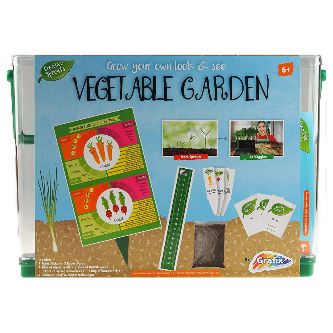 Vegetable Garden - Καλλιεργώ τον λαχανόκηπο μου - why.gr