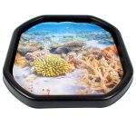 Coral Reef Mini Tuff Tray Mat PVC | Διερευνητική Μάθηση | why.gr