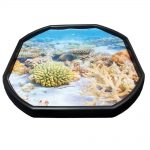 Coral Reef Tuff Tray Mat PVC | Knowledge Research | why.gr