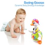 Swing Goose – Red - why.gr