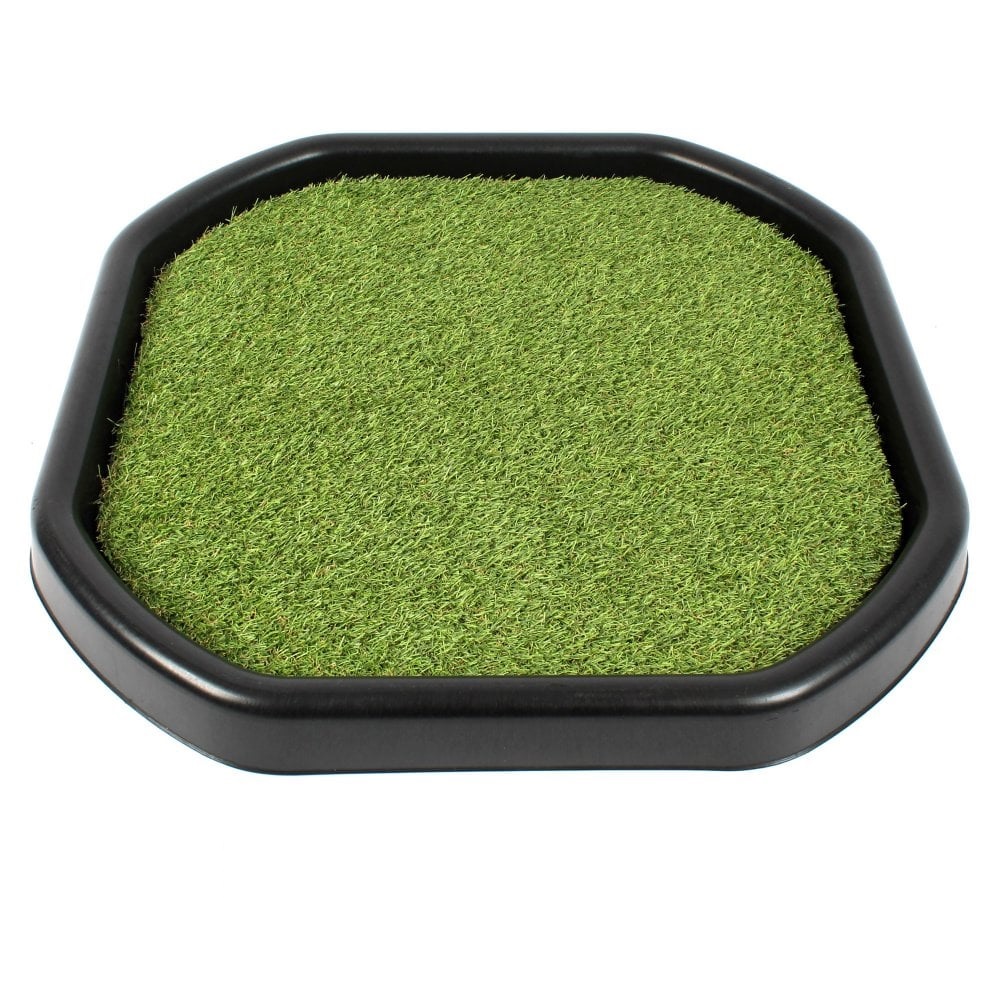 Mini Tuff Tray Grass Mat | Knowledge Research | why.gr
