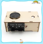 DIY Φωνόγραφος με Ηχογράφηση - Image 3