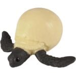 Sea Turtle Life Cycle - Image 3