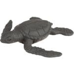 Sea Turtle Life Cycle - Image 4