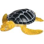 Sea Turtle Life Cycle - Image 5