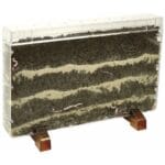 Soil Roots and Worms