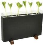 Soil Roots and Worms - Image 3