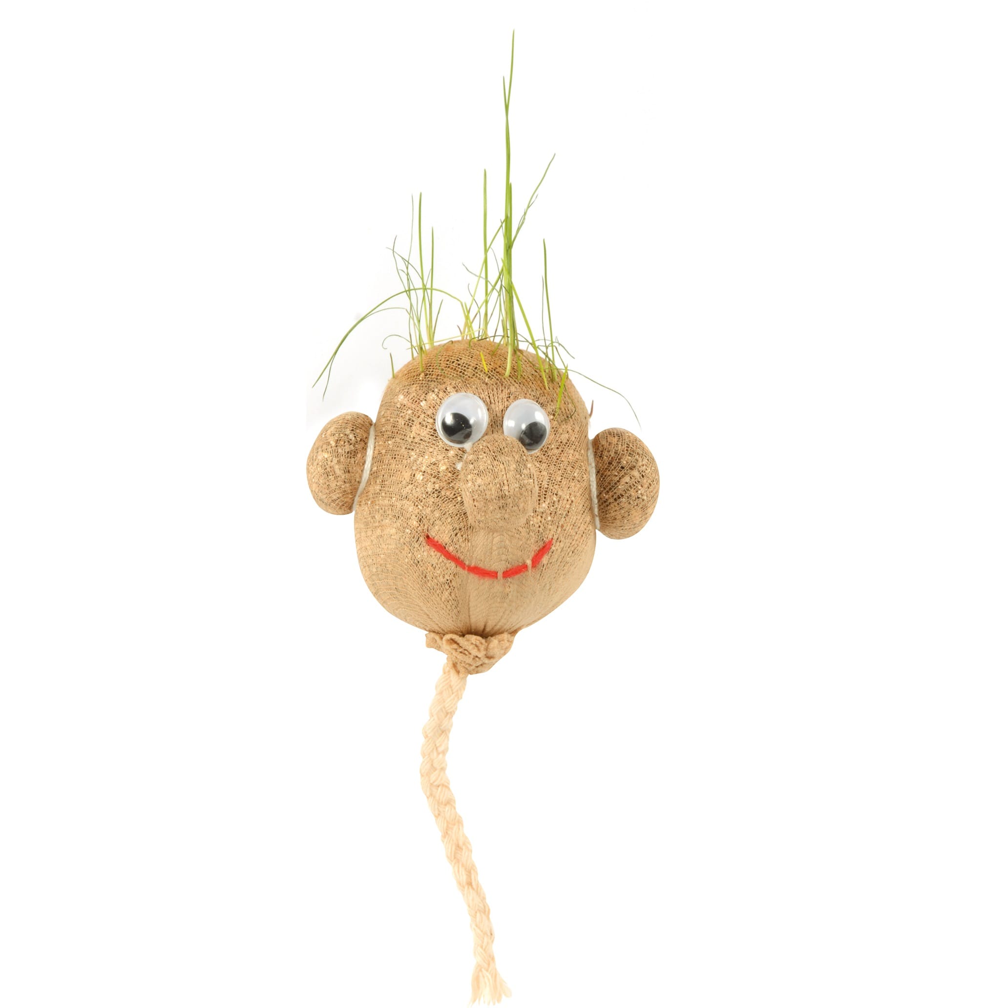 130239 Κεφάλι με Γρασίδι Σετ των 12 - why.gr