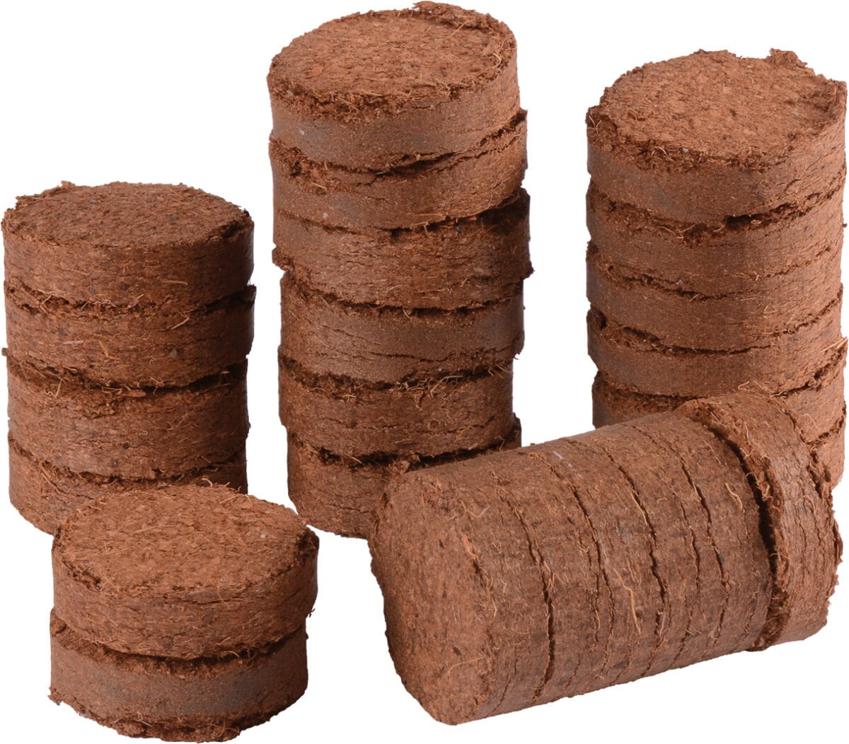 Seedling tablets 20pcs - Image 1