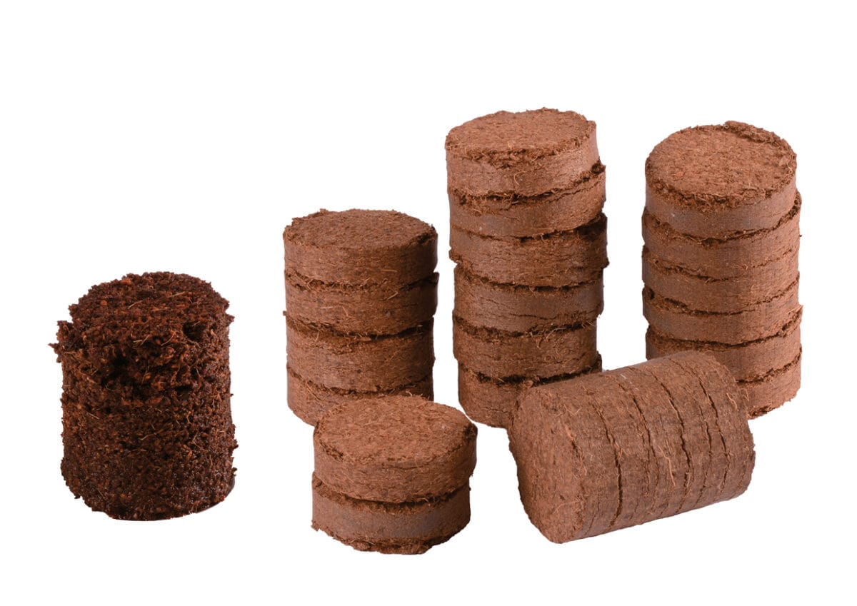 Seedling tablets 20pcs - Image 3