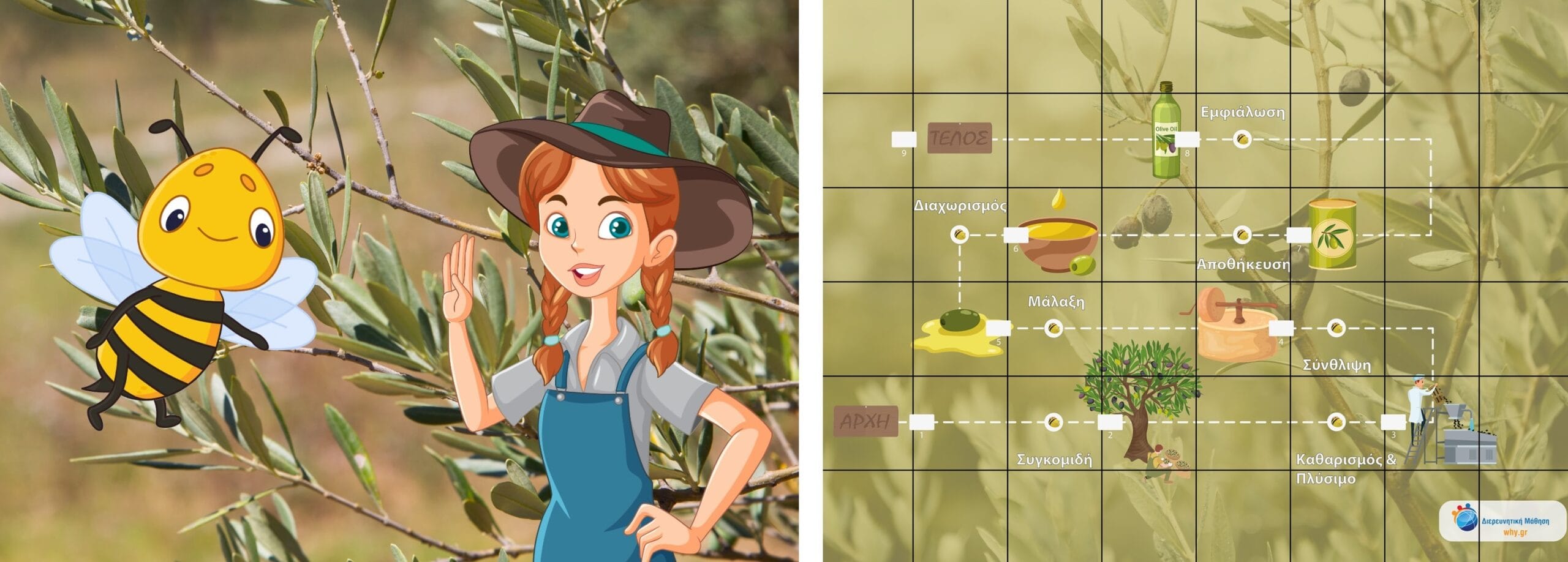 Bee Explorer